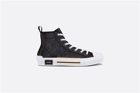 dior b23 cd diamond